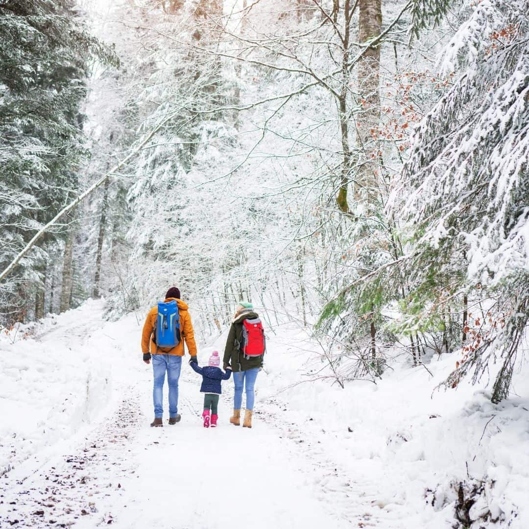 Winter Holiday Routes