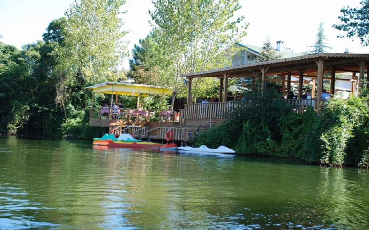 Treetops Park Hotel