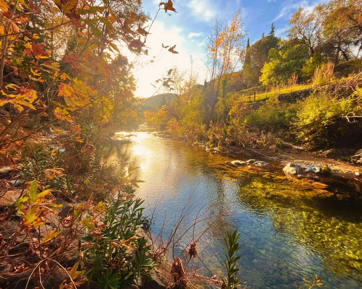 Kybele Nature Life +15