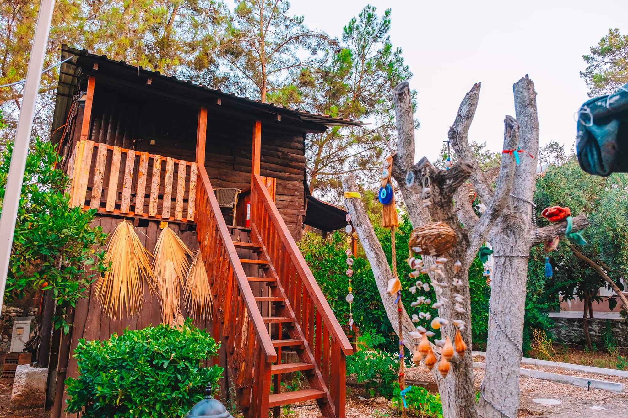 Sunthalia Olympos