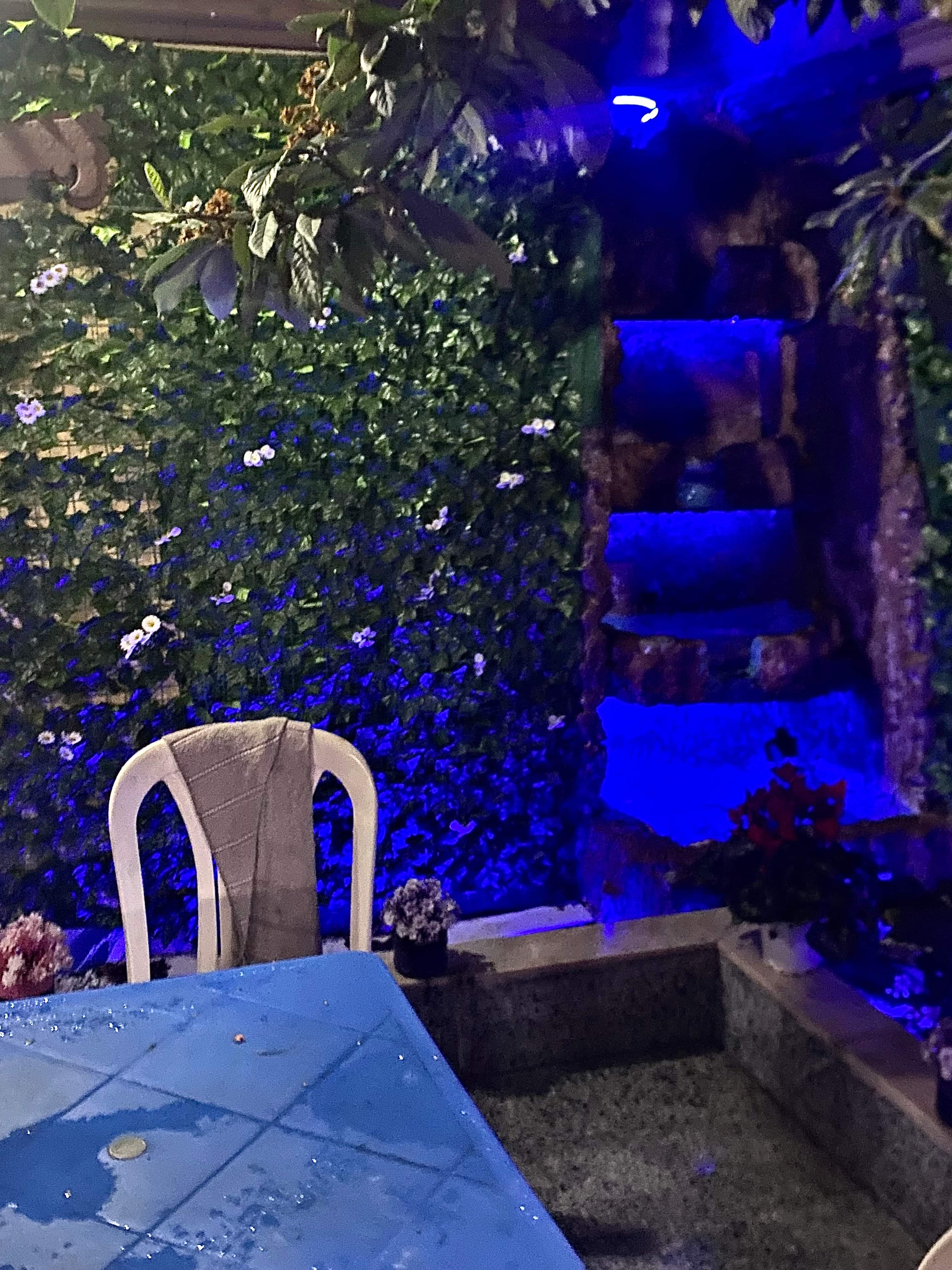 Suite avec jardin
