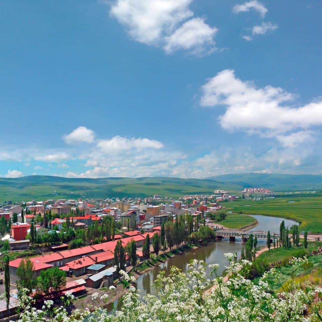 Ardahan