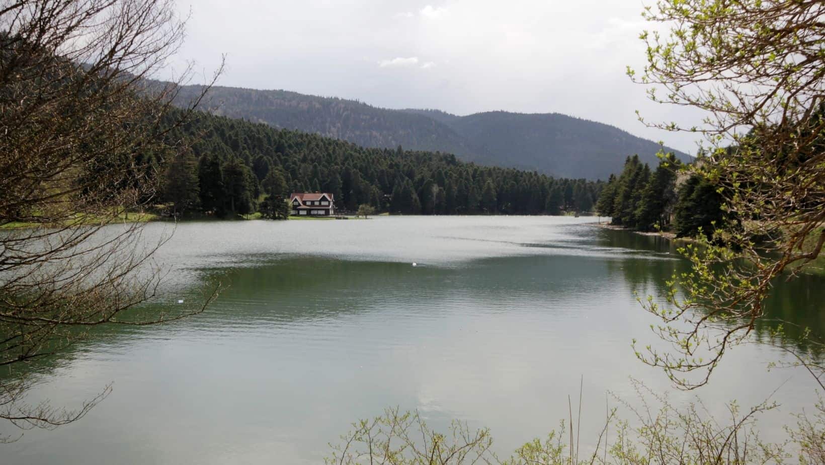 Bolu