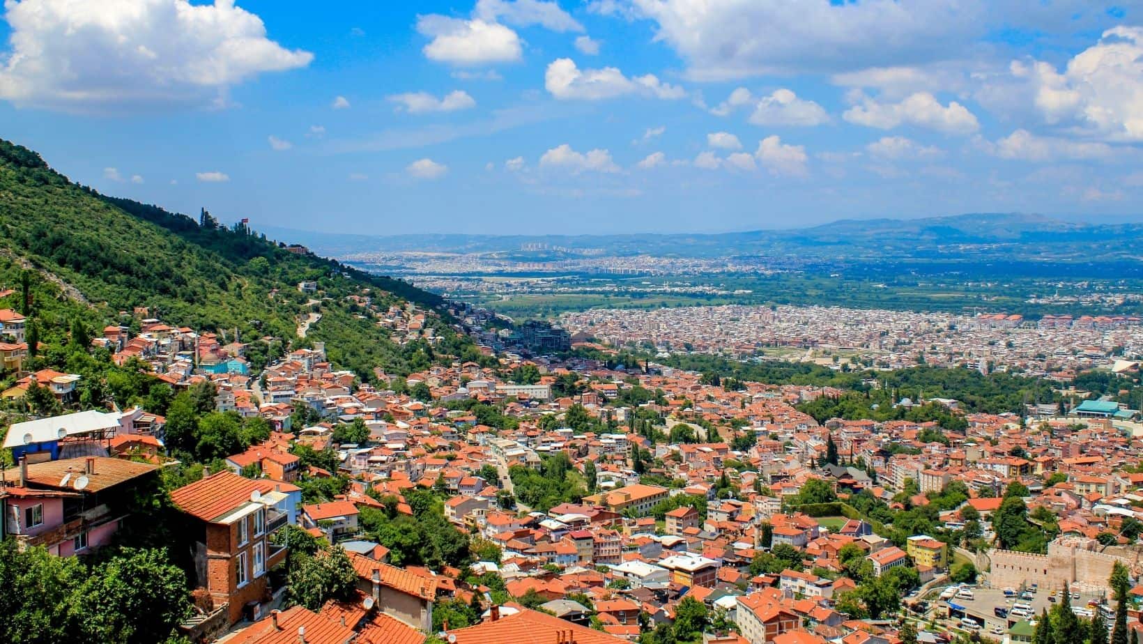 Bursa