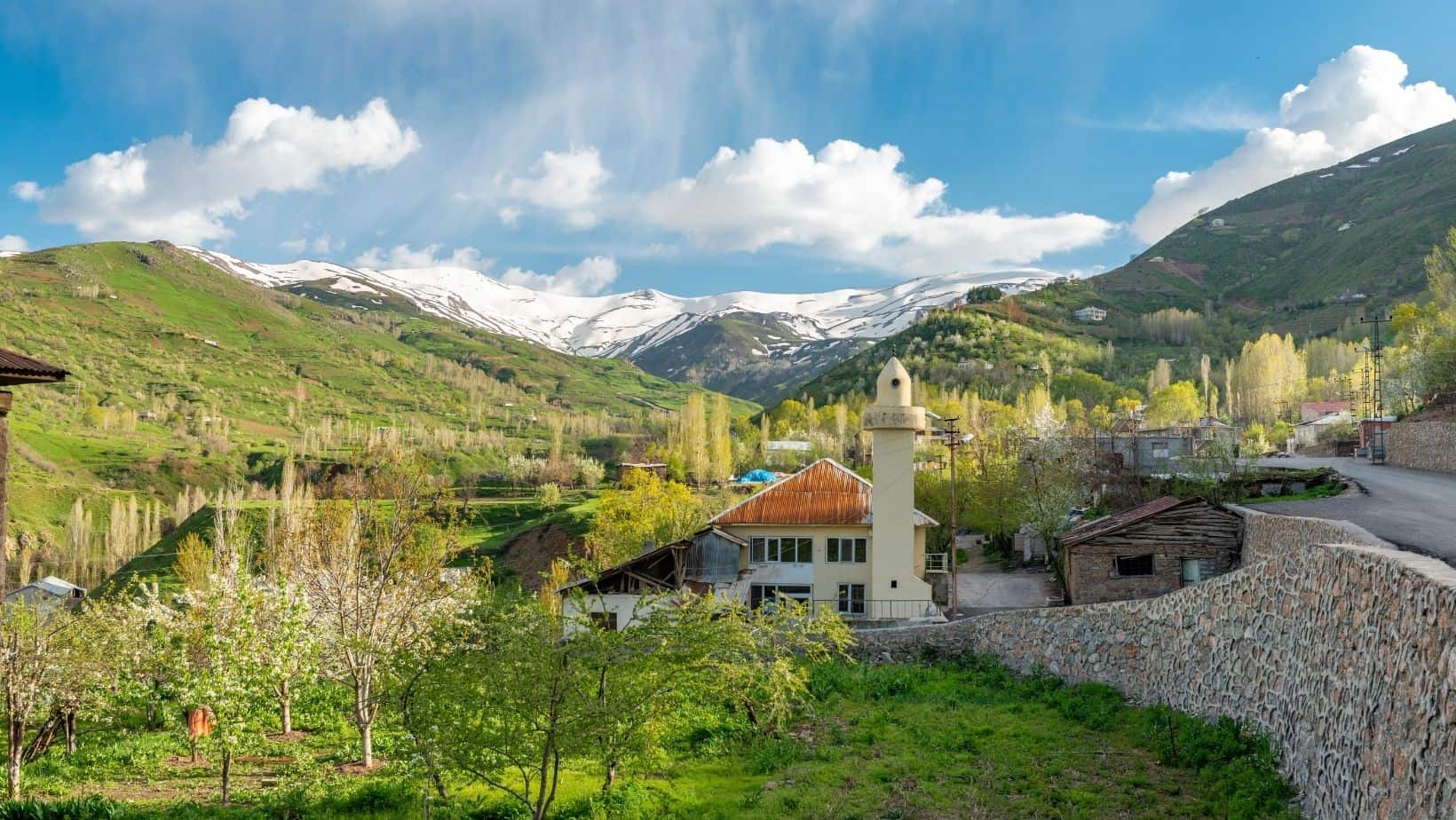 Muş