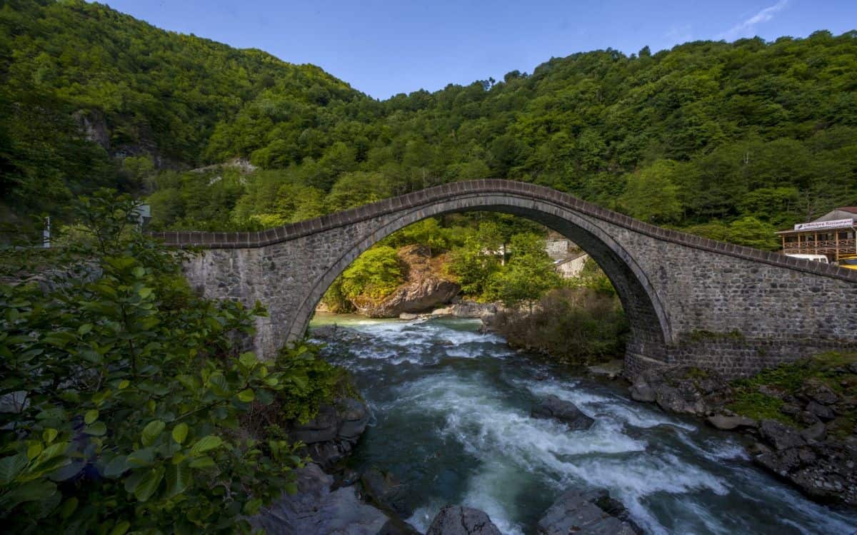 Rize