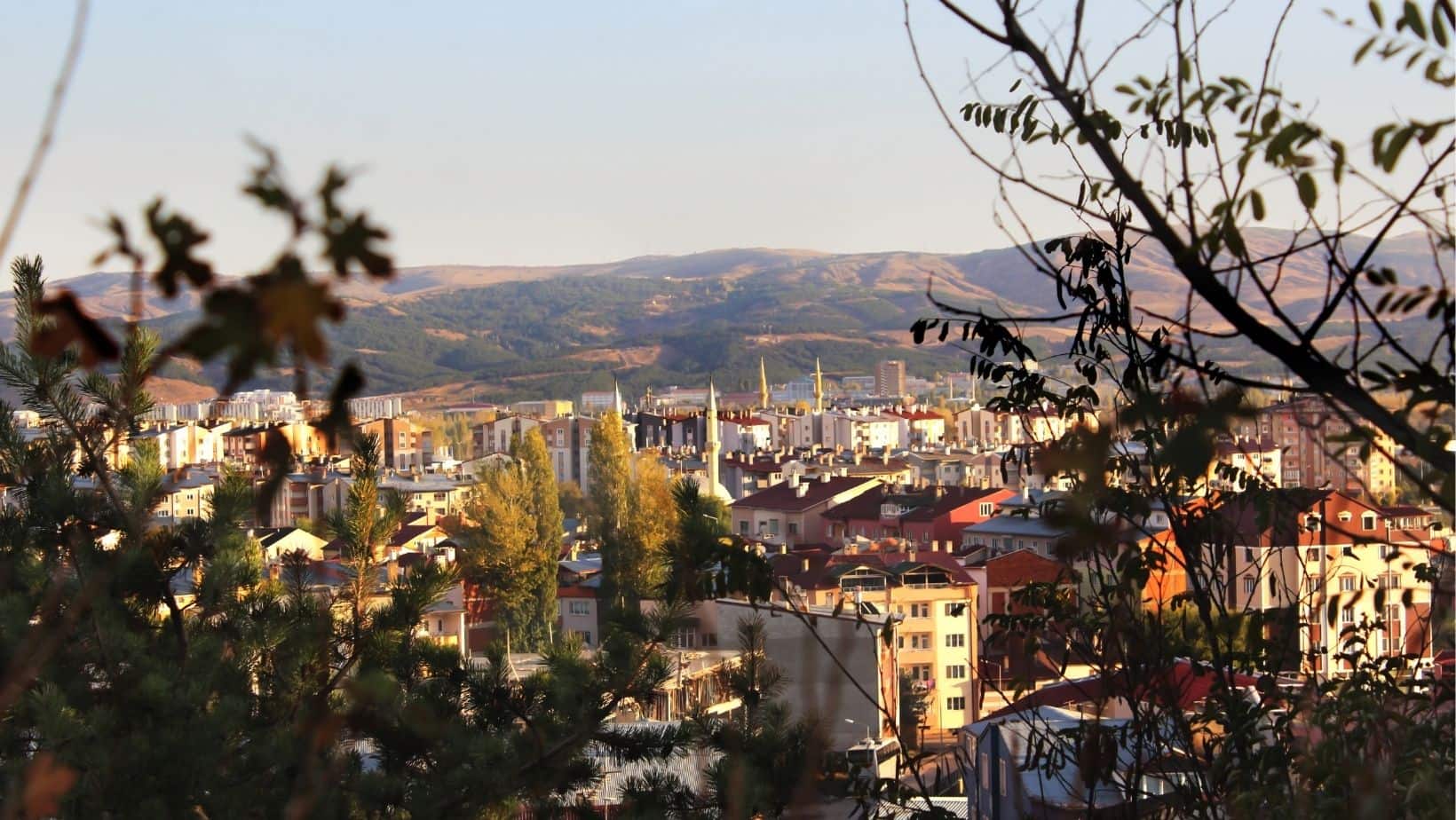 Sivas