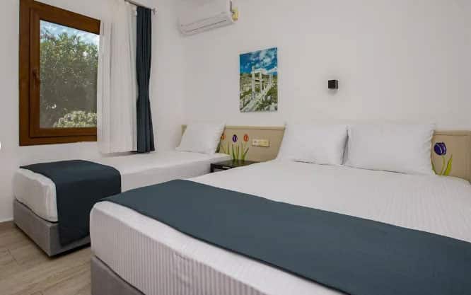 Room, Garden View