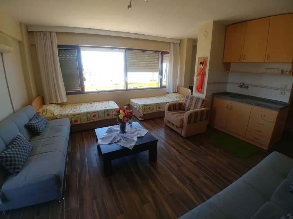 Suite 1+1