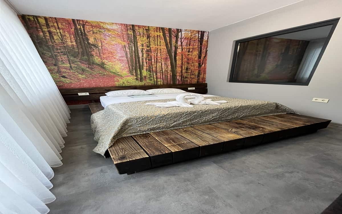 Room with Terrace