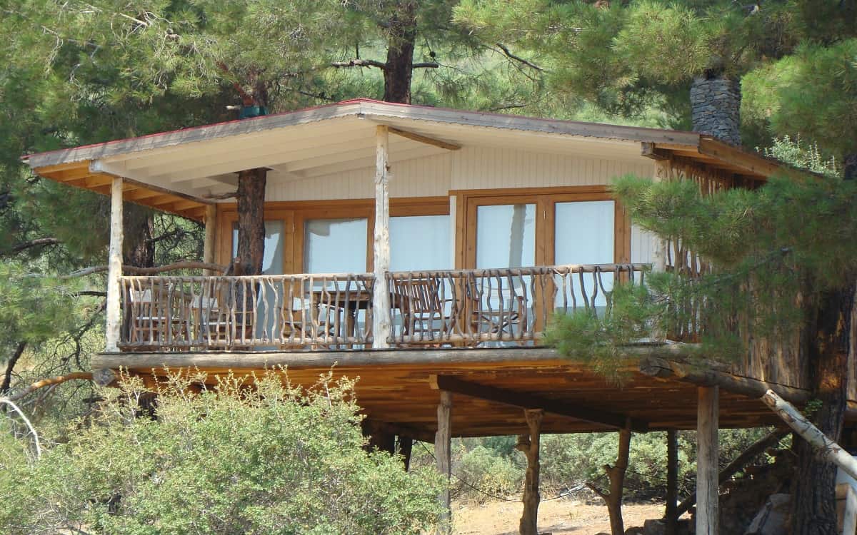 Treehouse