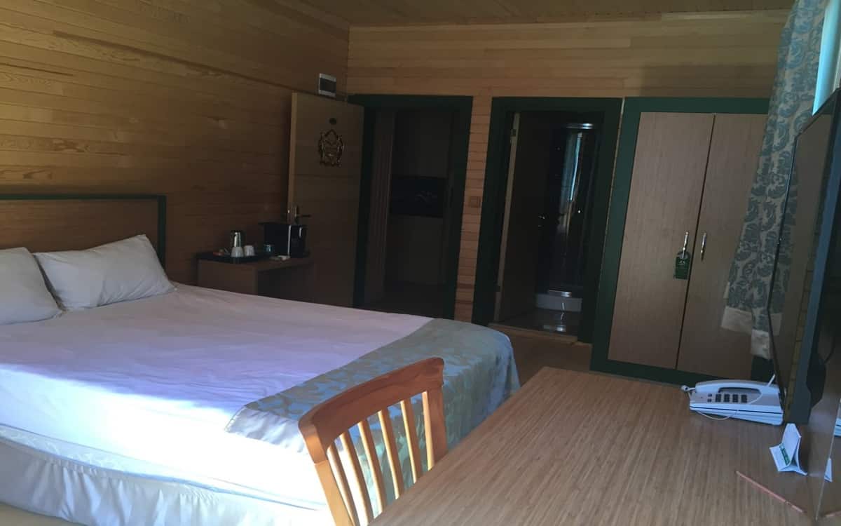 Room without View