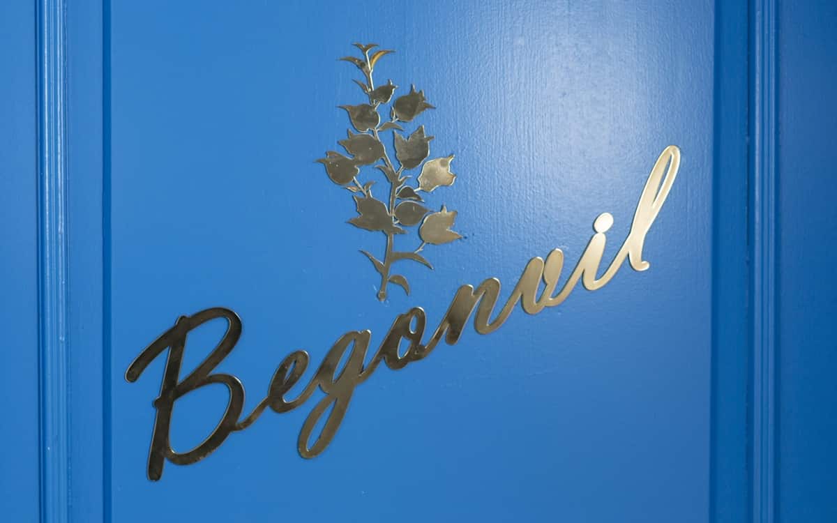 Begonvil