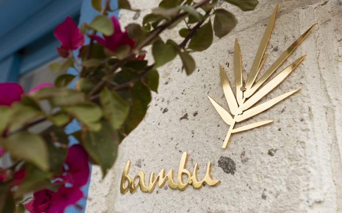 Bambu