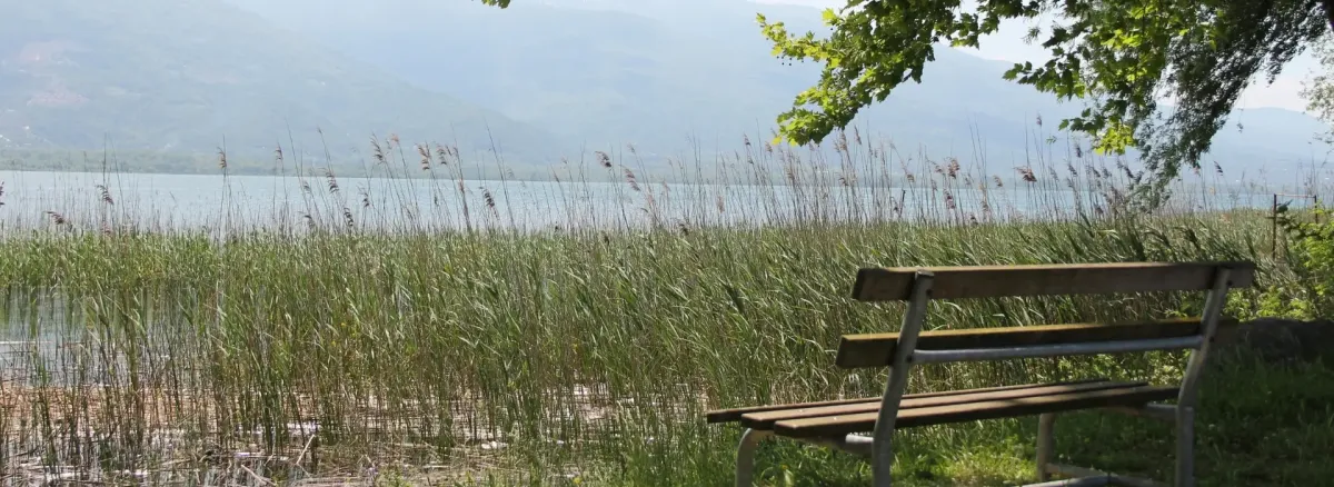 Doğanın Kalbinde Sonbahar Molası