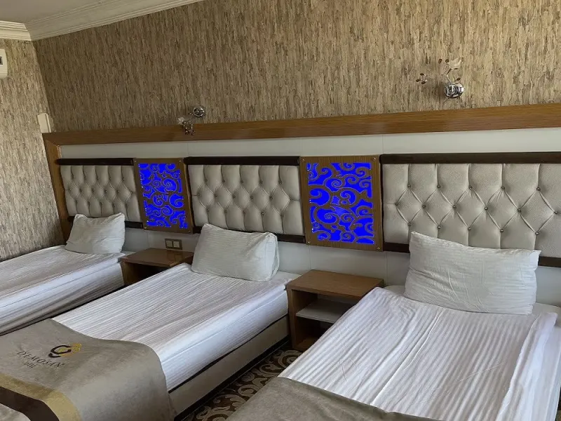 Demosan City Otel 5