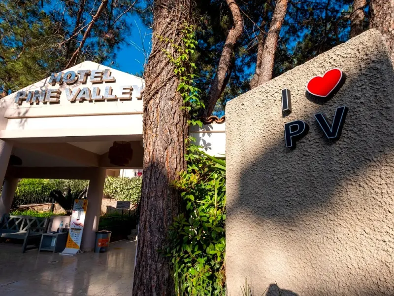 Hotel Pine Valley 2
