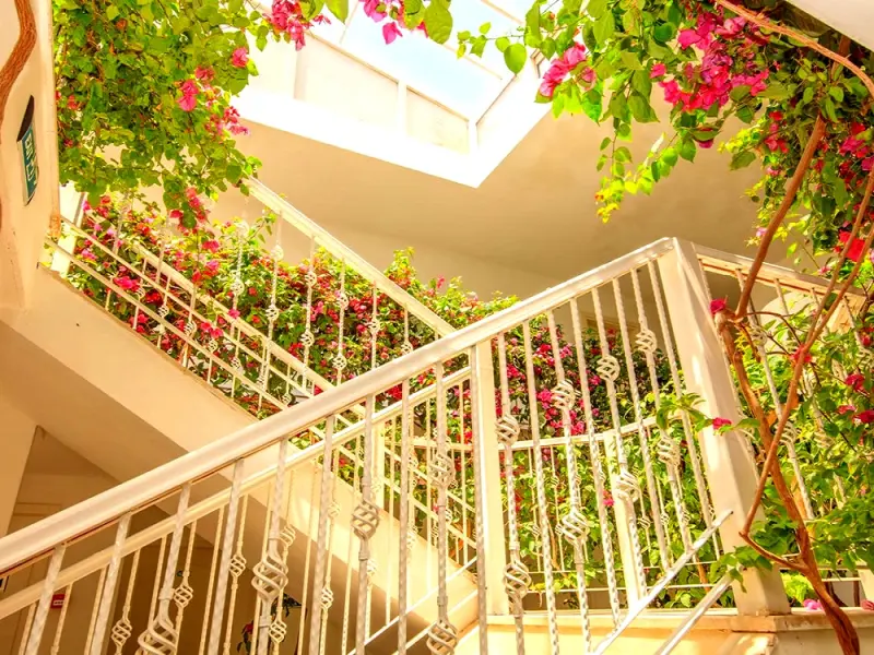Monta Verde Hotel 7
