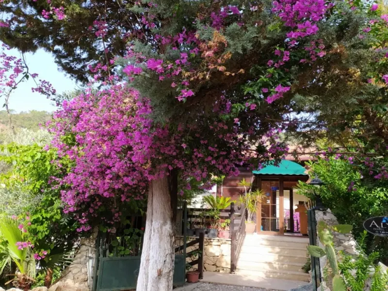Alya Hotel Göcek 2