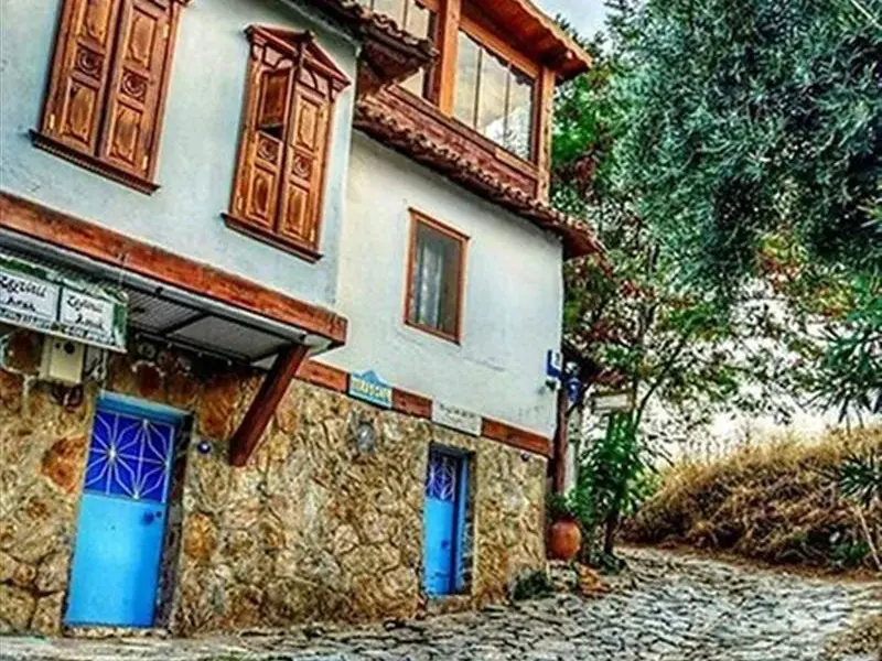 Zeytinli Konak Butik Otel 1