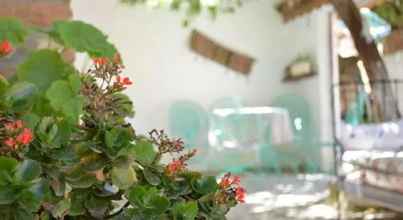 Zeytinli Konak Butik Otel 3