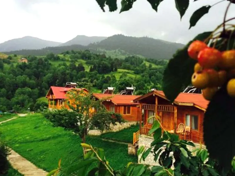 Laşet Restaurant & Bungalov Tatil Köyü 1