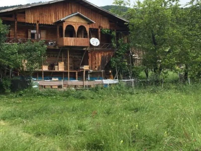 Laşet Restaurant & Bungalov Tatil Köyü 11