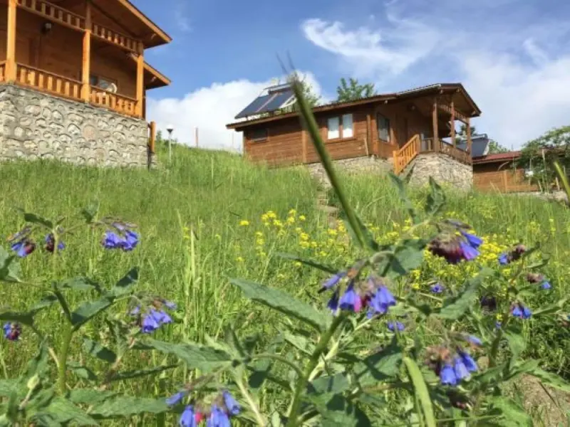 Laşet Restaurant & Bungalov Tatil Köyü 12