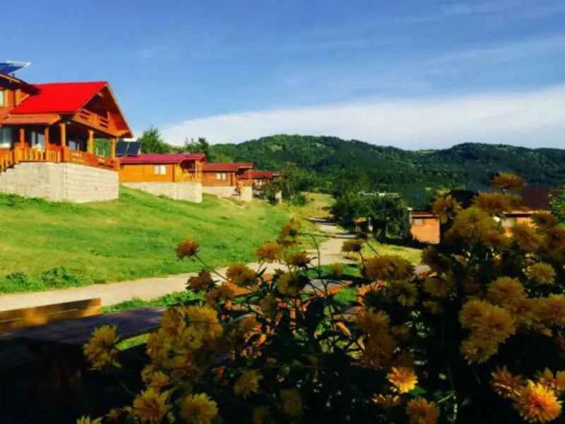 Laşet Restaurant & Bungalov Tatil Köyü 4