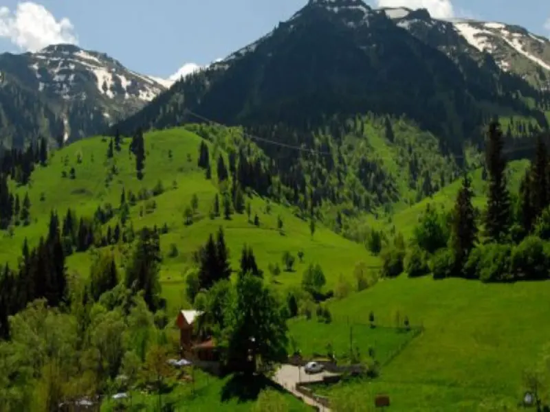 Laşet Restaurant & Bungalov Tatil Köyü 9