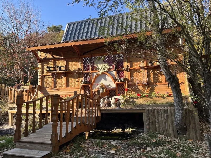 Abant Korudam Bungalov 2
