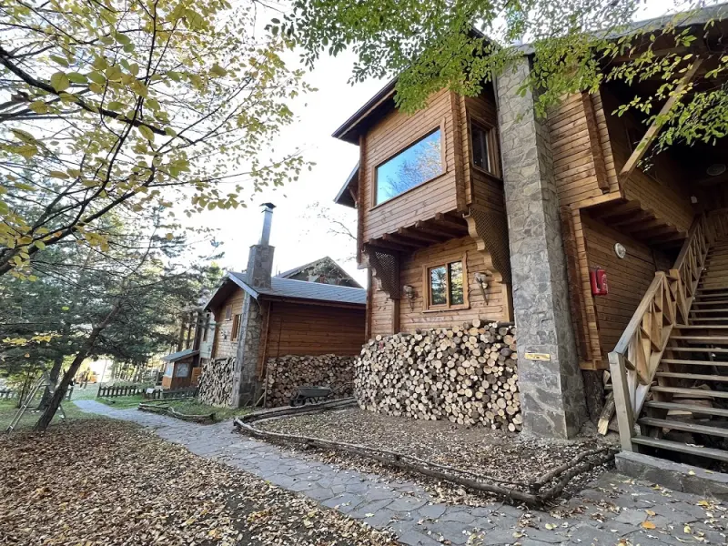 Abant Korudam Bungalov 4