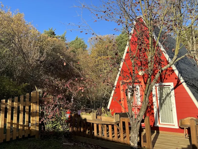 Abant Korudam Bungalov 5