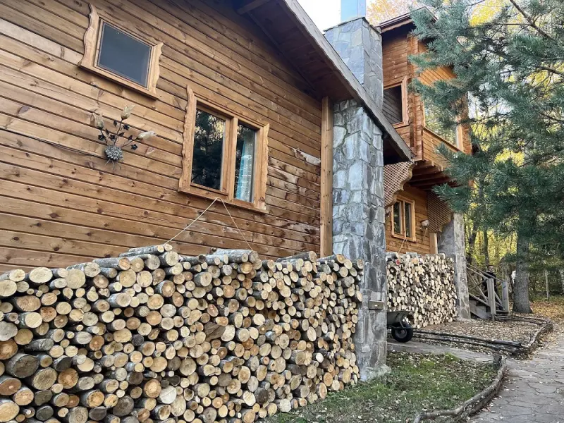 Abant Korudam Bungalov 6
