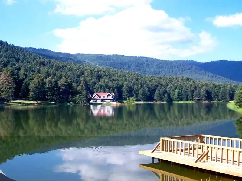 Elit Palace Otel 7