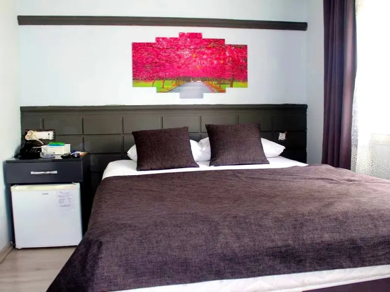 Asus Palmiye Otel 7