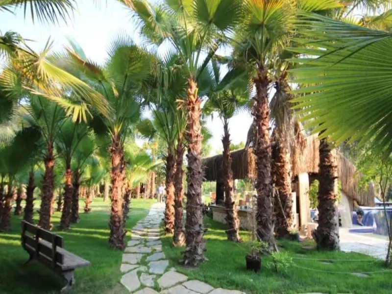 Layla Gocek Hotel 6