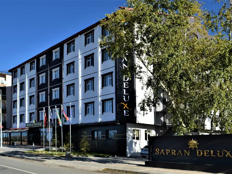 Sapran Deluxe Hotel 1