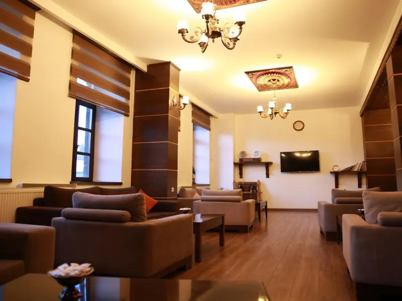 Cheltikov Hotel 11