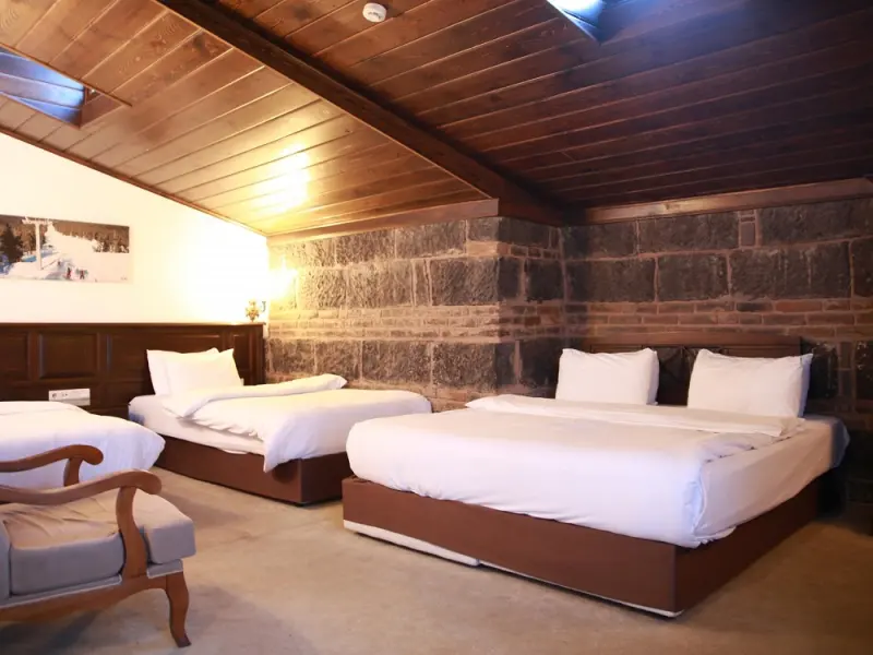 Cheltikov Hotel 7