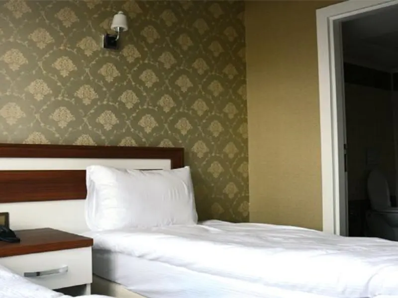 Hotel Kafkasya 19