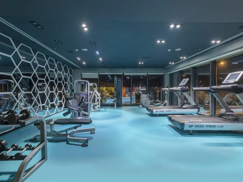 Holiday Inn Kayseri Duvenonu 17