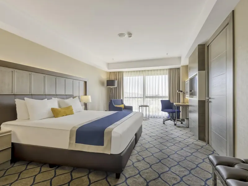 Holiday Inn Kayseri Duvenonu 18