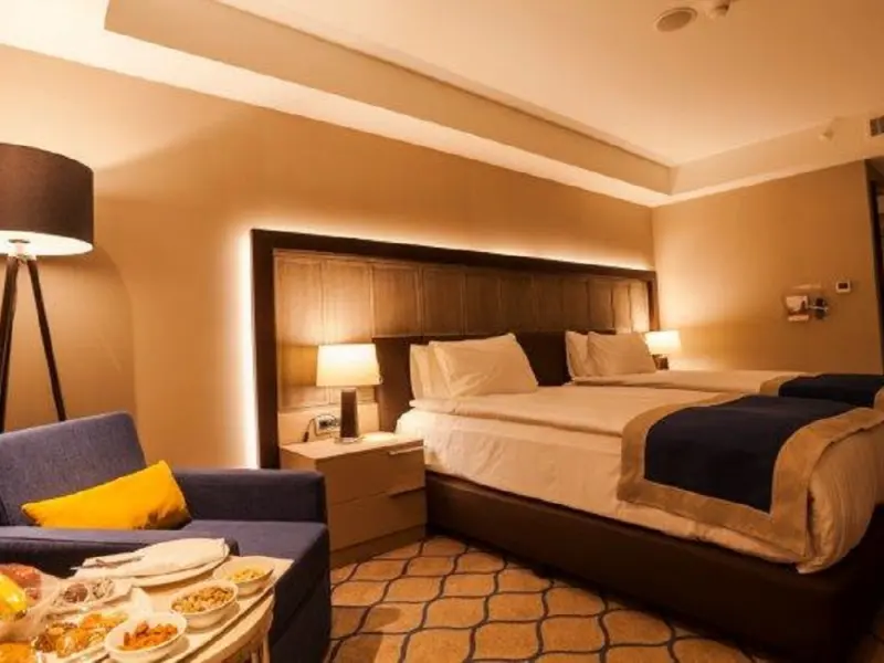 Holiday Inn Kayseri Duvenonu 19