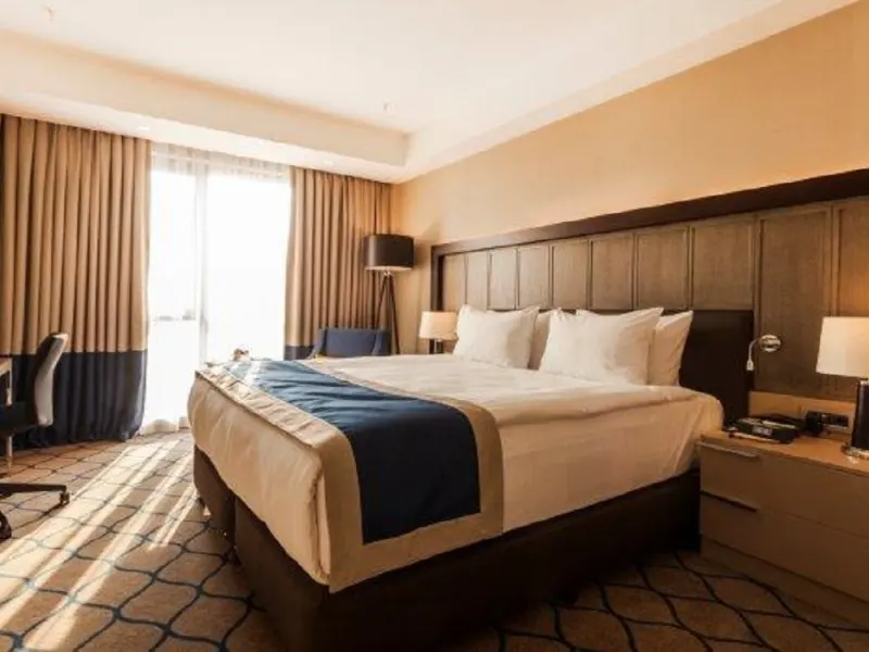 Holiday Inn Kayseri Duvenonu 20
