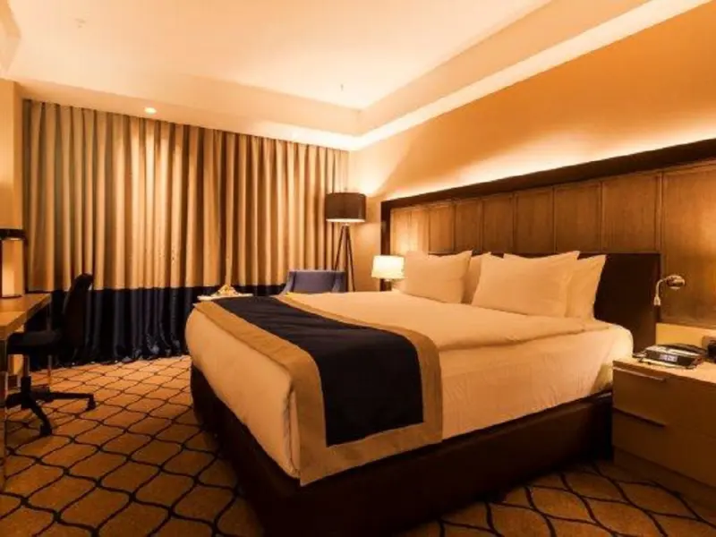 Holiday Inn Kayseri Duvenonu 21