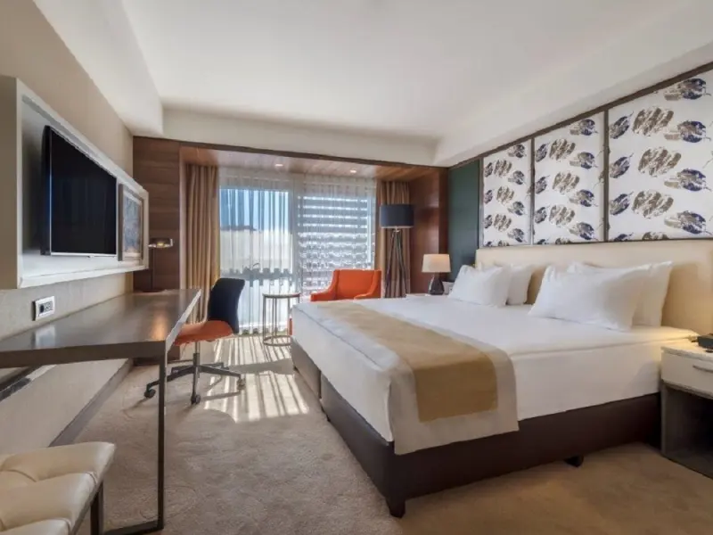 Holiday Inn Kayseri Duvenonu 22