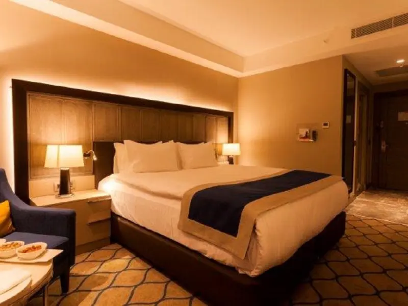 Holiday Inn Kayseri Duvenonu 23