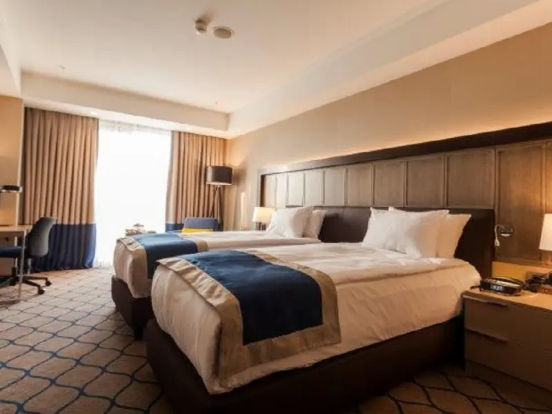 Holiday Inn Kayseri Duvenonu 24