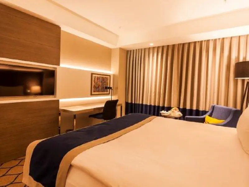 Holiday Inn Kayseri Duvenonu 25